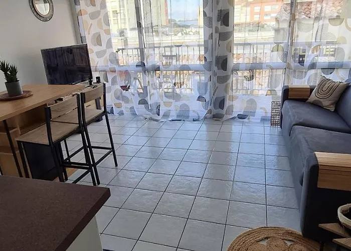 Climatise Vue A 100m Du Mole * アグド