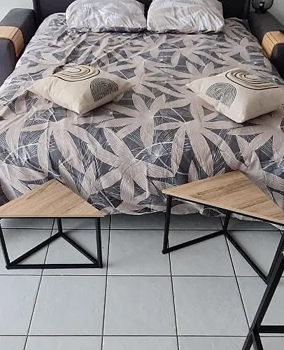 Climatise Vue A 100m Du Mole アパート